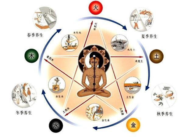 五行与身体五脏的关系, 养生必备的中医知识