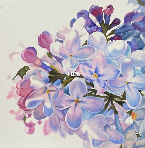 丁香花水彩原创作品|四开|过程图含线稿_水彩画_线稿