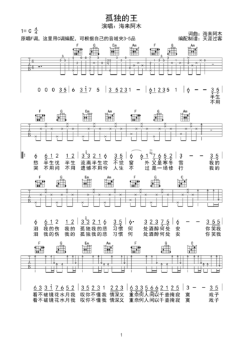 海来阿木《孤独的王》吉他谱_c调简单版_弹唱_天涯_六