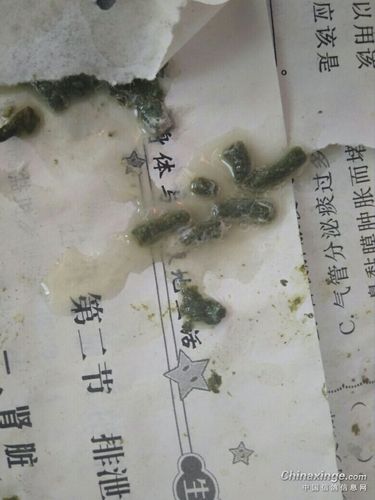 这种粪便是不是大肠杆菌?