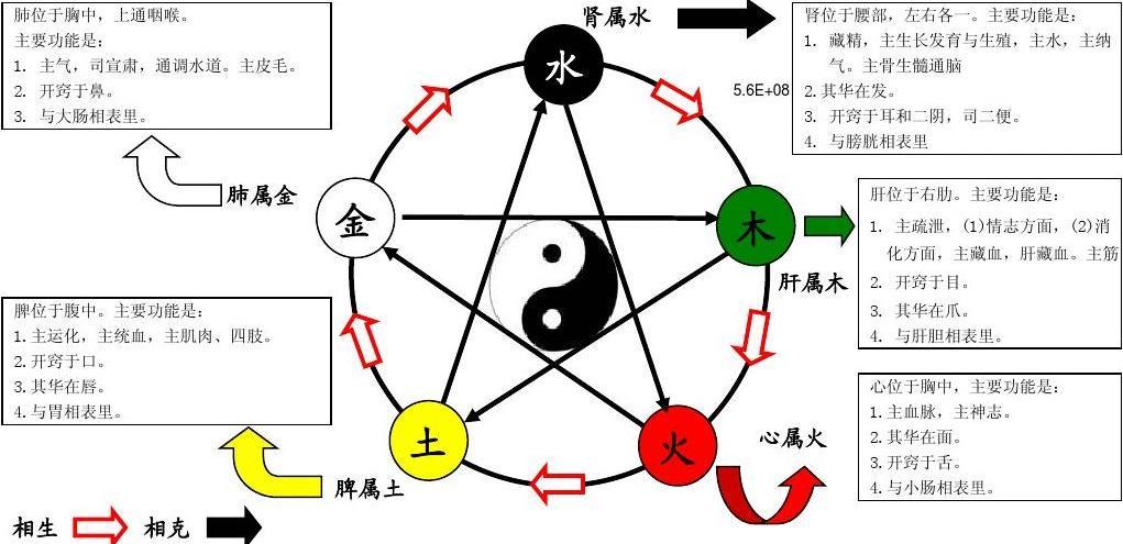 中医阴阳五行图解