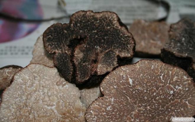 野生菌的营养成分以及营养价值