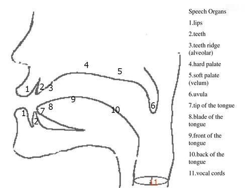 phonetics chapter 2ppt