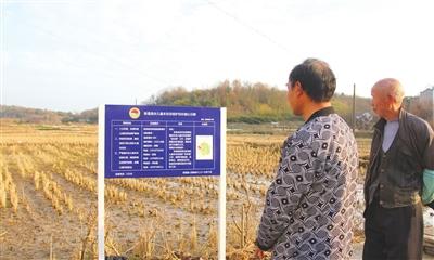 首块田长制公示牌落户