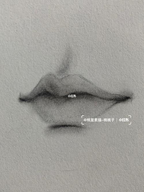 超详解3/4侧素描嘴巴教程_素描_绘画_高光_提亮_唇部_餐巾纸_阴影