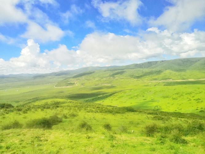 穿越高原天然草场-红原县