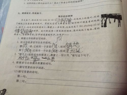 乡下人家的主要内容
