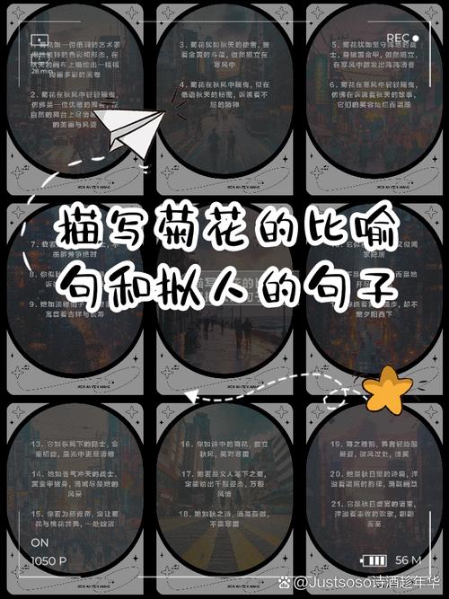 描写菊花的比喻句和拟人的句子