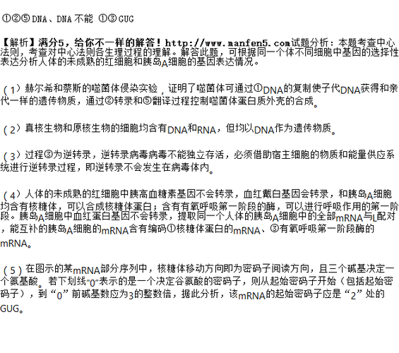 (1)赫尔希和蔡斯实验证明了图中的过程有_________.
