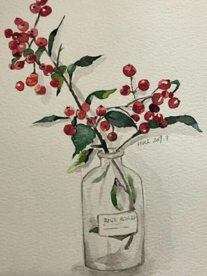 静态水粉植物(红豆)_肺炎_万物皆可画_文化_绘画