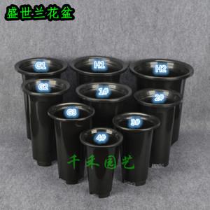 塑料花盆兰花盆兰草石斛蝴蝶兰种植盆控根盆透气盆盛世黑色兰花盆