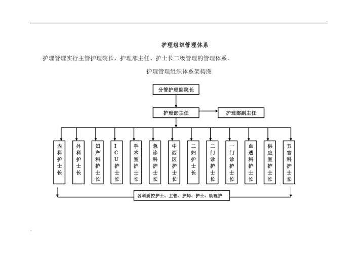 护理管理组织体系架构图