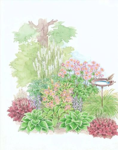 花镜