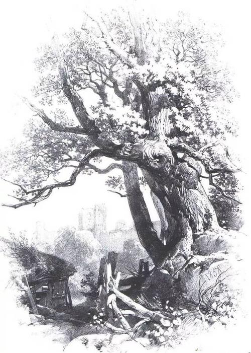 树叶的画法,在用铅笔或炭笔时可以