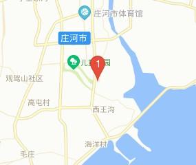 在哪,在哪里,在哪儿):大连市庄河市庄龙线与新华路交叉口西100米标签