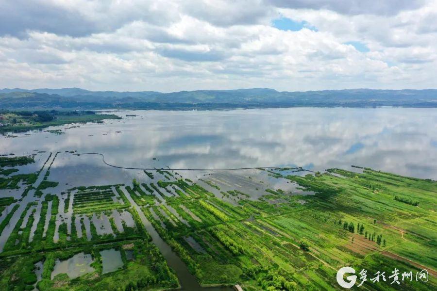图说贵州贵州高原明珠威宁草海