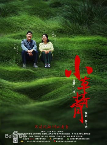 电视剧小草青青热播小燕子郭芯如走红