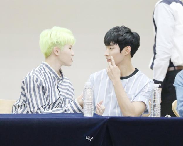 seventeen woozi李知勋 dk