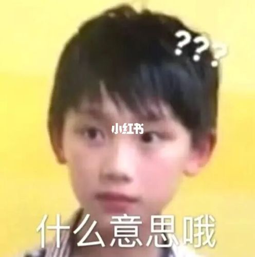 丁程鑫:什么意思哦_丁程鑫_表情包_时代少年团_时代少年团表情包_素材