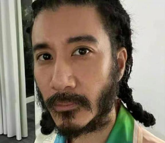 宋威龙自拍照显老十岁,王力宏蓄胡子像野人,帅哥们别再乱用脸了