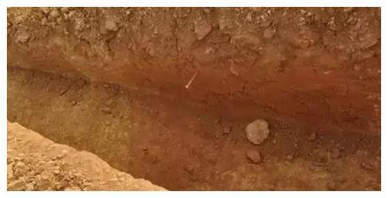 故事:狗兄弟要害主家长工,趁熟睡叼高粱秆量身高,乱坟岗挖坟坑