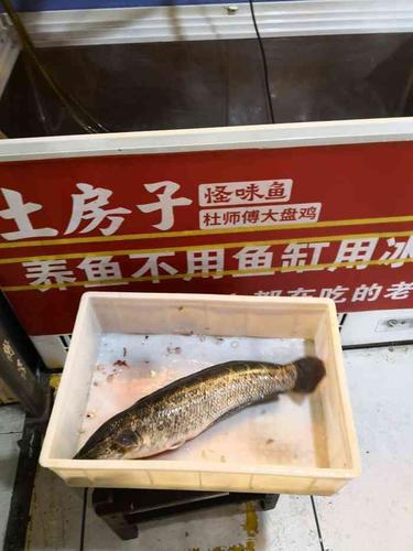 土房子怪味鱼(未来路店)
