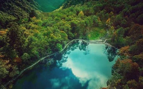 四川小众景点,二郎山喇叭河,可谓是秘境中的秘境