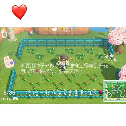 动物森友会游戏攻略花卉杂交图解及怎么种花_花卉_十一去哪玩_switch