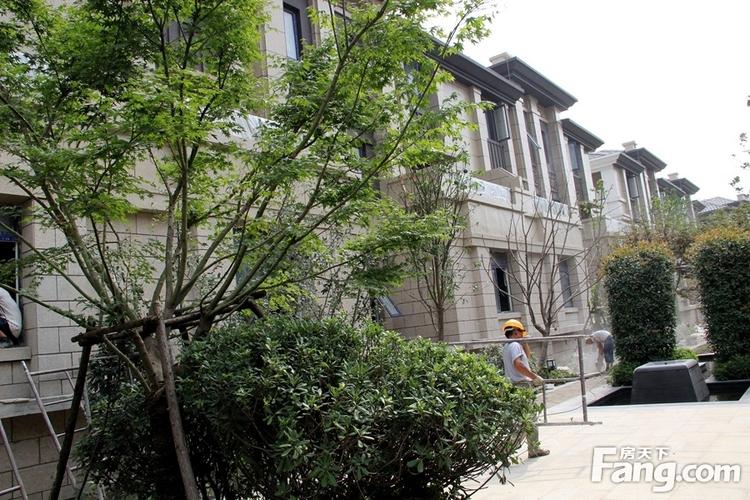 成都写字楼网 邗江区 > 扬州大学城 >  中海运河丹堤 中海运河丹堤的