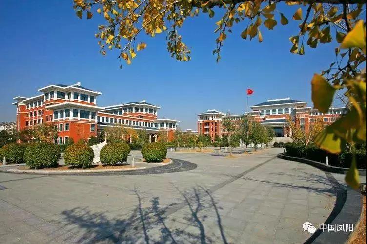 全县文理科最高分出炉凤阳中学高考再创新辉煌再刷新纪录实现四连增