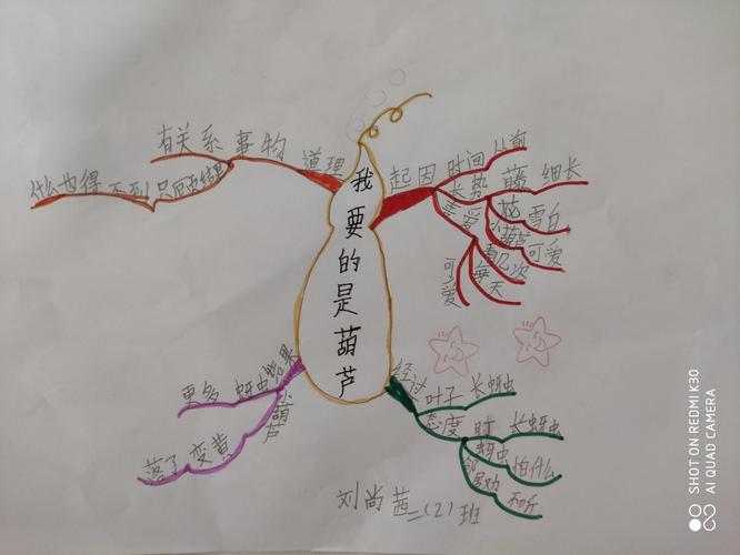 《我要的是葫芦》思维导图