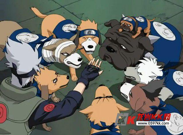 主题:卡卡西八忍犬