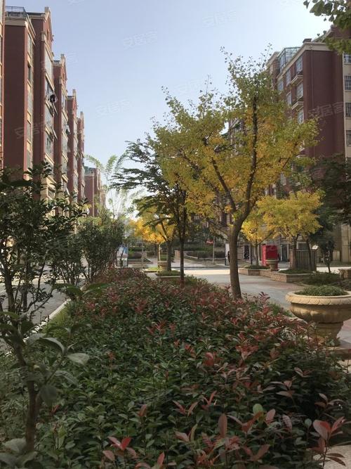 碧桂园嘉山首府