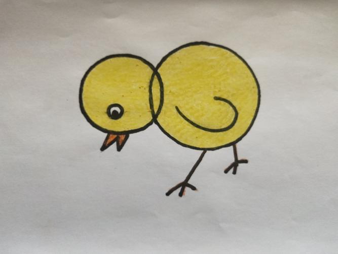 7,让我们给小鸡涂上漂亮的颜色吧!