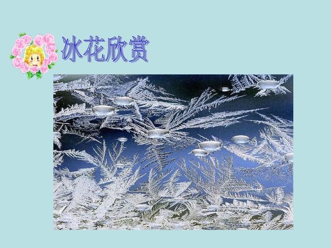 苏教版一年级上册《冰花》公开课ppt