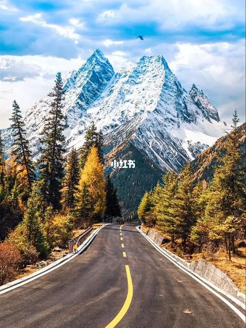 合集_出行九寨沟达古冰川来古冰川旅游攻略达古冰川离九寨沟多少公里