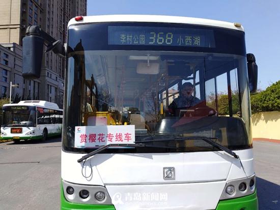清明假期组团去中山公园看樱花 368路增发"赏樱专车"_青岛_山东热线