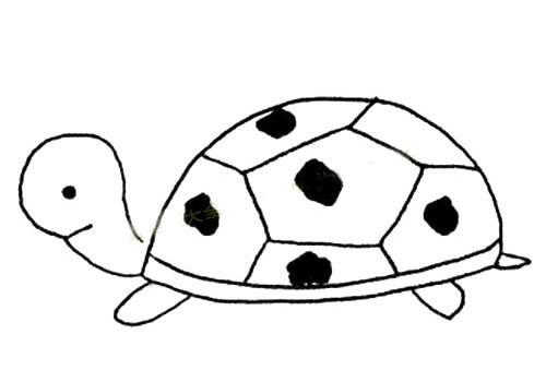 动物简笔画大全,慢吞吞的乌龟简笔画