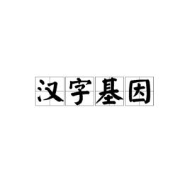 汉字基因