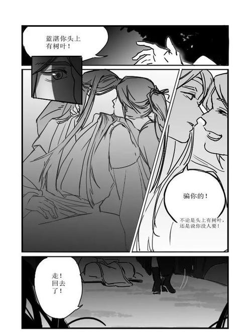 魔道祖师忘羡婚后夜猎