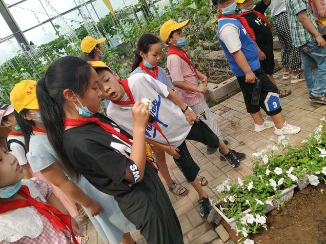 科普进田园,书写少年美篇——肖旗乡韩店小学科普研学