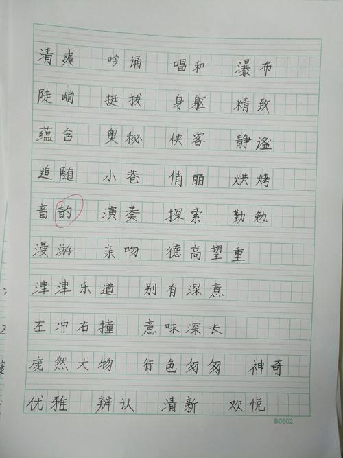 词语听写不仅是对孩子们词语掌握情况的检查与巩固,也是一次书法的