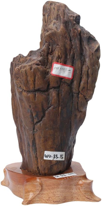 新中式禅意摆设硅化木水冲石原石招财镇宅客厅玄关电视柜奇石摆件