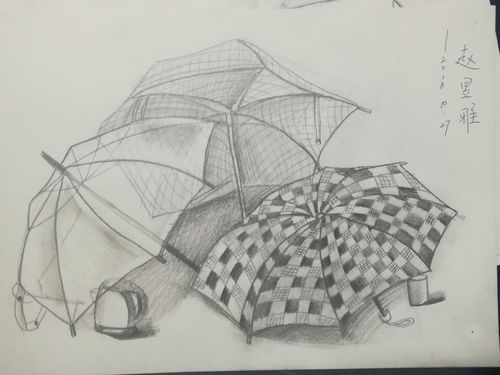 10月27日下午小学部学生写生素描作业