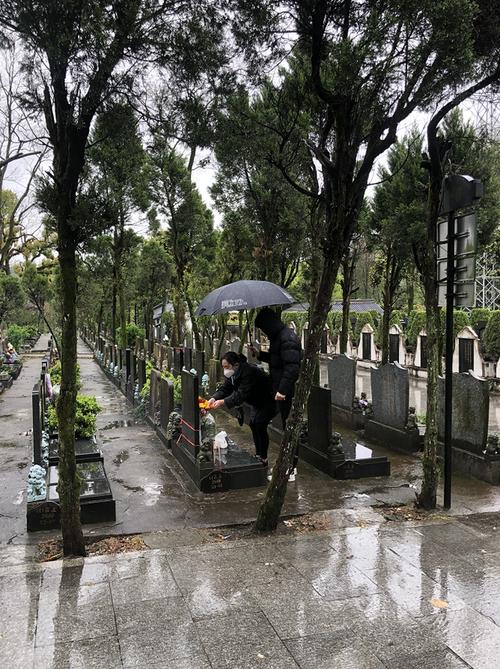 直播回放|清明时节雨纷纷,杭州各大公墓预约祭扫第一天,市民亮码扫墓