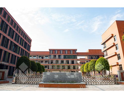 东方红小学已全部建成