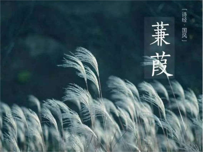 《蒹葭》ppt课件(20页).ppt