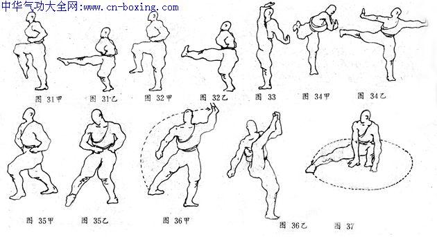 少林拳基本动作武韵