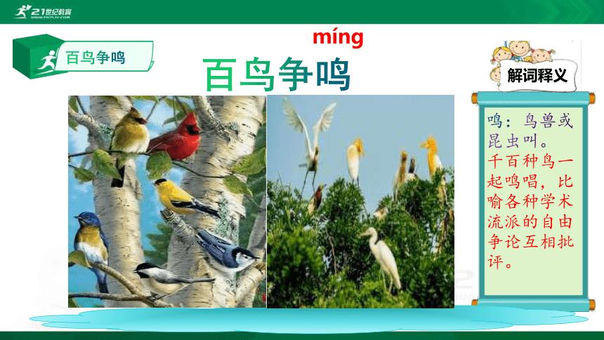 (31)语文中小学插图词汇积累:百鸟争鸣 课件(共28张ppt)
