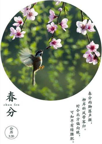 做好三样 写美篇 一候,玄鸟至 "燕子飞时,绿水人家绕" 二候,雷乃发声